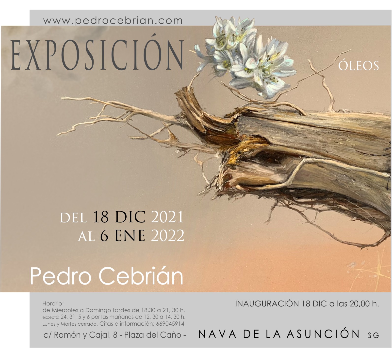 Exposición de Oleos Pedro Cebrián